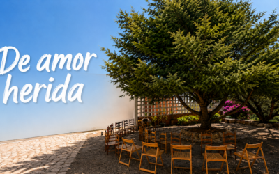 «De amor herida»